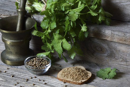 Coriander - ground, grains and green leaves