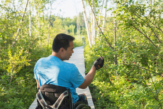 Man in wheel chair explore nature on guided trail