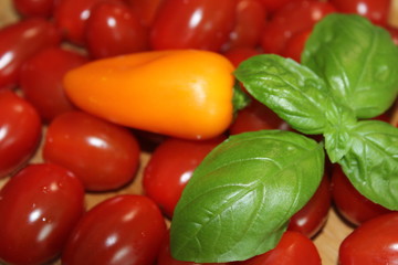 Paprika, Tomaten und Basilikum