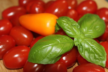 Paprika, Tomaten und Basilikum