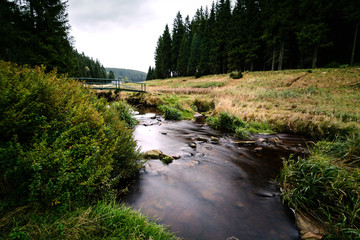 Fluss im Wald mit Brücke im Schwarzwassertal
