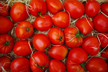 Ancient Provencal french tomatoes on the street market