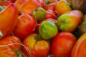 Fototapeta na wymiar Ancient Provencal french tomatoes on the street market