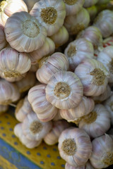 Fresh french violet and rose garlic from Provence, France