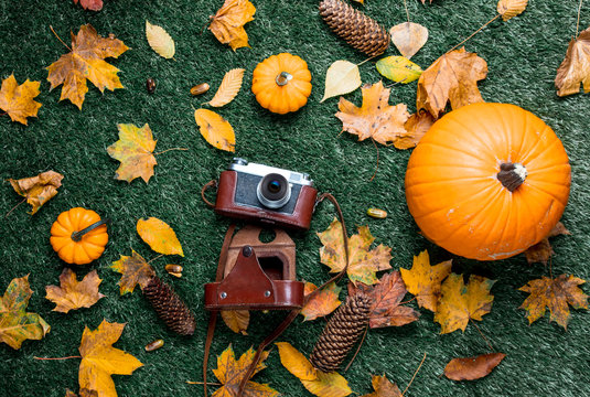Pumpkin and autumn season leaves with camera