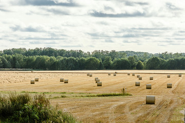 Obraz premium View of the autumn field with hay