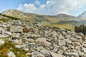 Amazing landscape of Spano pole, Pirin Mountain, Bulgaria