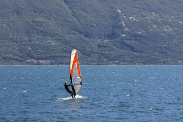 Windsurfer