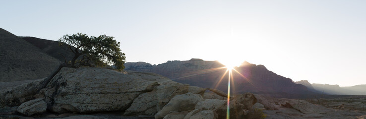 Sunrise view of West Temple Zion National Park