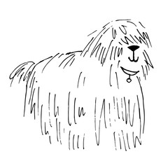 Shaggy dog vector hand drawn illustration - 172758829