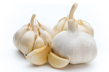Garlic isolated on the white background.