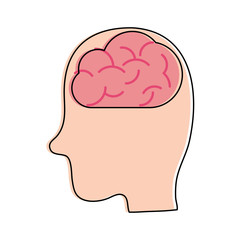 human brain inside head sideview icon image vector illustration design 