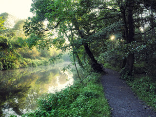 Obraz premium Early Autumn countryside morning,Northern Ireland