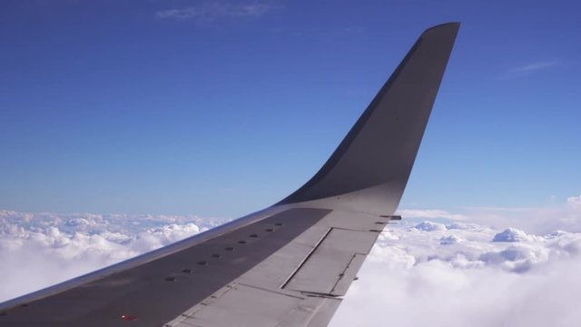 the wing of the plane during the flight