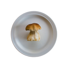  Mushroom on a white plate