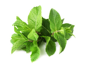 Fresh mint on white background