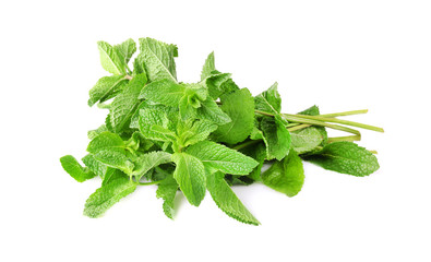Fresh mint on white background