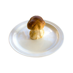  Mushroom on a white plate