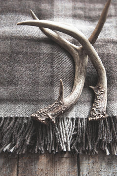 Deer antlers laying on wool plaid blanket