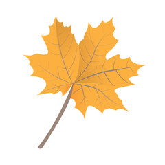 Isolated leaf icon on a white background, vector illustration