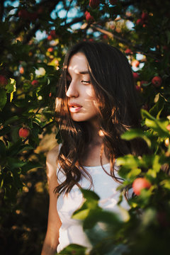 Portrait of a young sexy beauty woman with shadows from the sun on her face