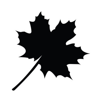 Isolated leaf silhouette on a white background, vector illustration