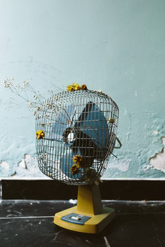 vintage fan