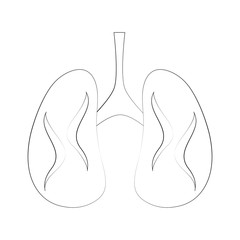 lungs anatomy icon image vector illustration design  fine sketch line