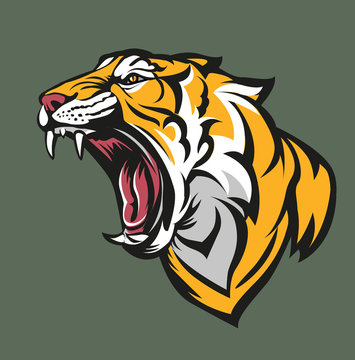 Vector illustration, tiger head symbol