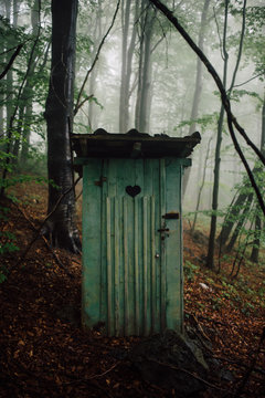 Old wooden toilet deep in the woods3
