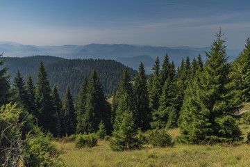 Forests under Velky Choc hill in north Slovakia in summer