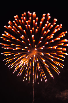 details of fireworks en the sky