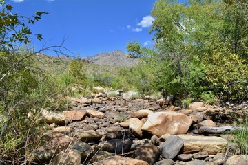 Sabino Canyon Creek Bed Coronado National Forest Tucson Arizona