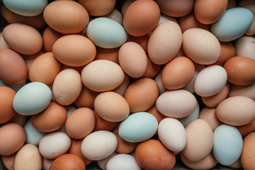 Eggs