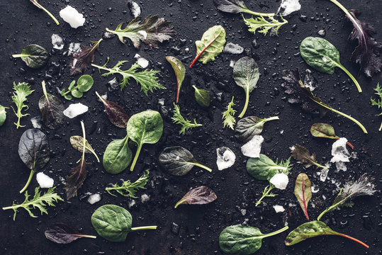 Food: Wild Herb Salad on black background, roter Senf, Mizuna, Spinat, Landcress, Tatsoi, roter Mangold