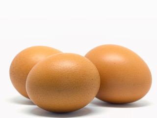 Closeup Egg chicken.