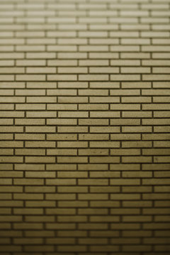 Brick Texture