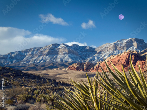 Desert Moon Stock Illustrations  4,387 Desert Moon Stock 