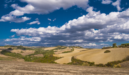Fototapeta premium A beautiful day in Tuscany Italy with blue sky