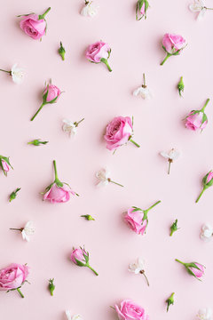 Rosebud and blossom background