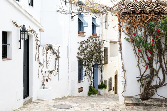 White houses of a mediterranean villageCalella de Palafrugell