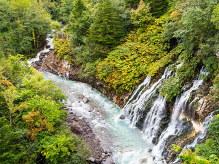北海道 美瑛町 白ひげの滝