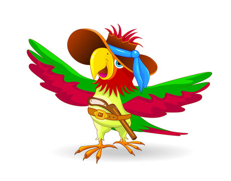Parrot the pirate.Cartoon parrot pirate with hat on head on white background.  