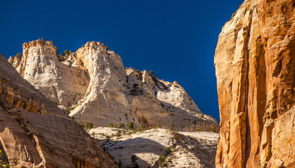 Fototapeta premium Sandstone Cliffs of Lady Mountain in Zion Canyon