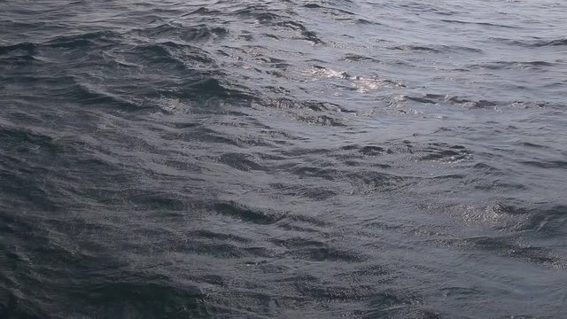 Relaxing shot of gentle ocean waves whit the reflection of the sun / Gentle ocean waves