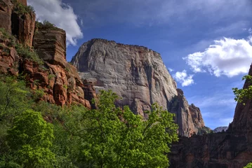 Foto op Canvas Great White Throne in Zion Canyon © Larry