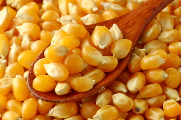 Corn kernels