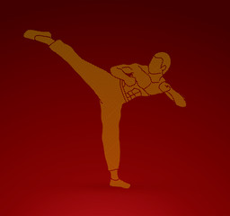 Kung fu, Karate kick designed using dots pixels graphic vector