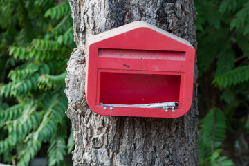 The mailbox.
