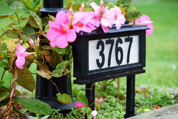 A house number on the front yard with flowers in neighborhood